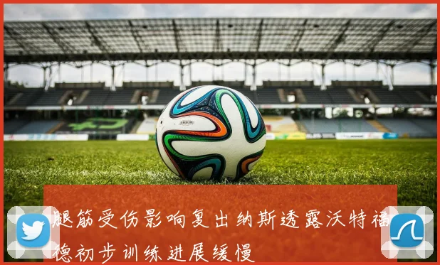 腿筋受伤影响复出纳斯透露沃特福德初步训练进展缓慢