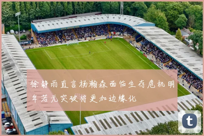 徐静雨直言杨瀚森面临生存危机明年若无突破将更加边缘化
