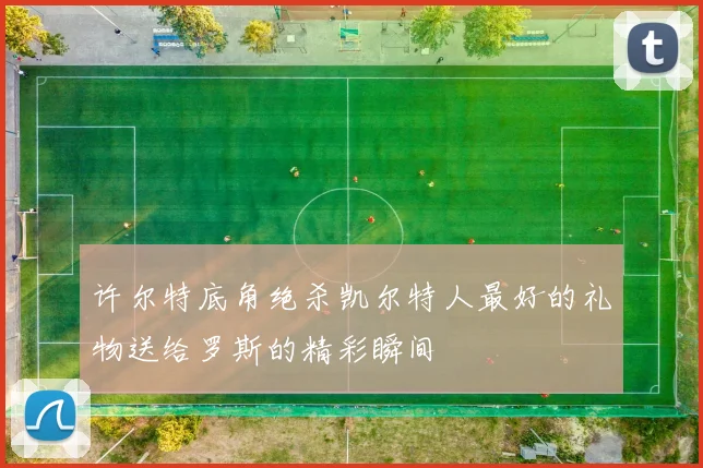 许尔特底角绝杀凯尔特人最好的礼物送给罗斯的精彩瞬间