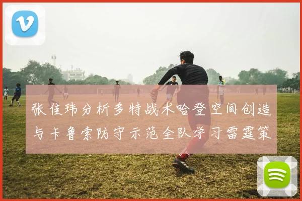 张佳玮分析多特战术哈登空间创造与卡鲁索防守示范全队学习雷霆策略